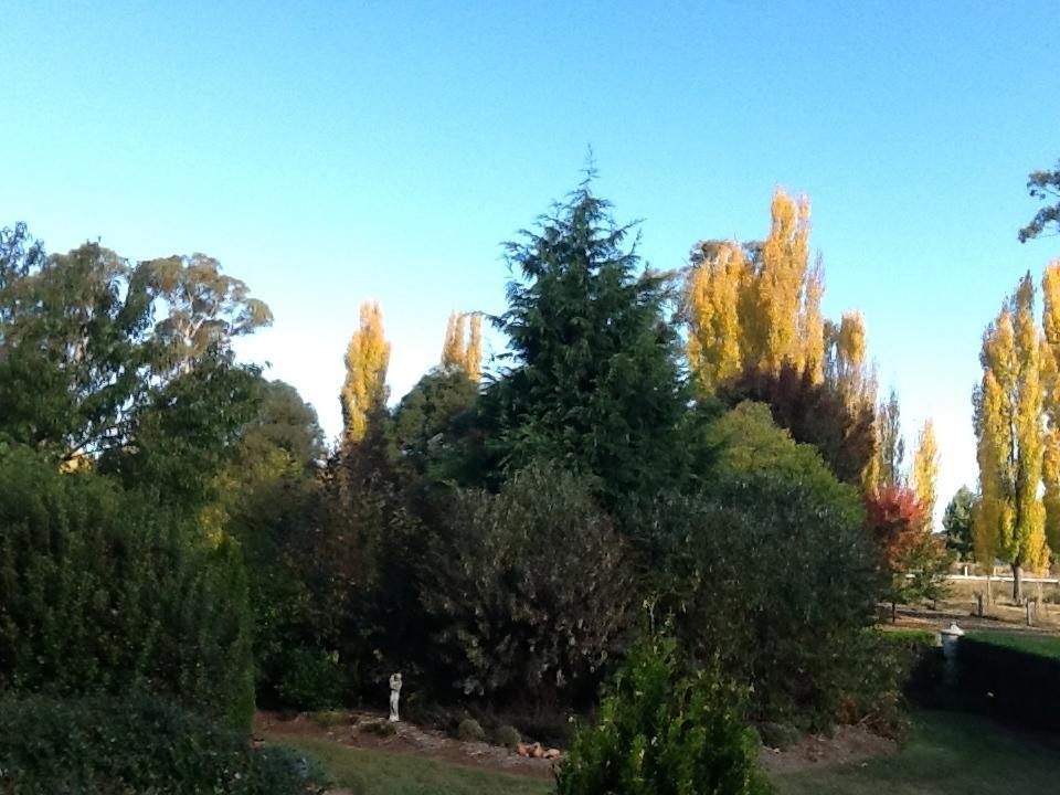 Glen Waverly Farmstay Glen Innes Pokoj fotografie